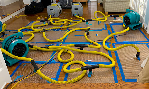 Professional Structural Drying And Dehumidification technician working in New Vernon, NJ